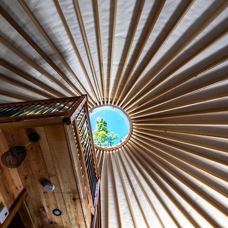 Yourtes Glamping Du Poisson Blanc Notre-Dame-du-Laus Екстер'єр фото